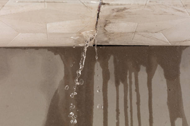 Professional Structural Drying technician working in Allendale, NJ